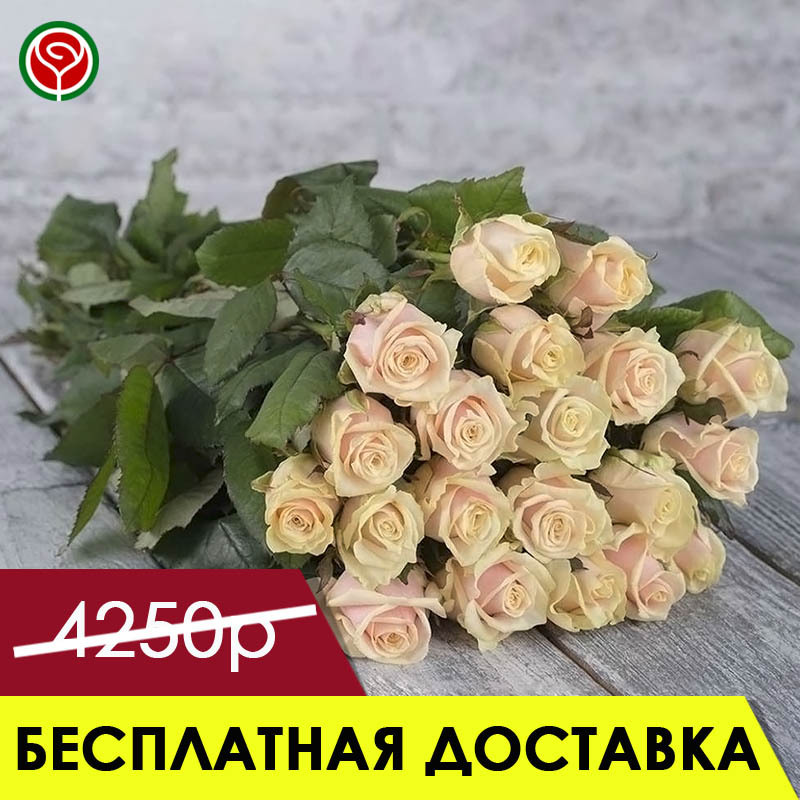 25 РОЗ БЕЛЛИНИ 60 СМ 25 РОЗ БЕЛЛИНИ 60 СМ