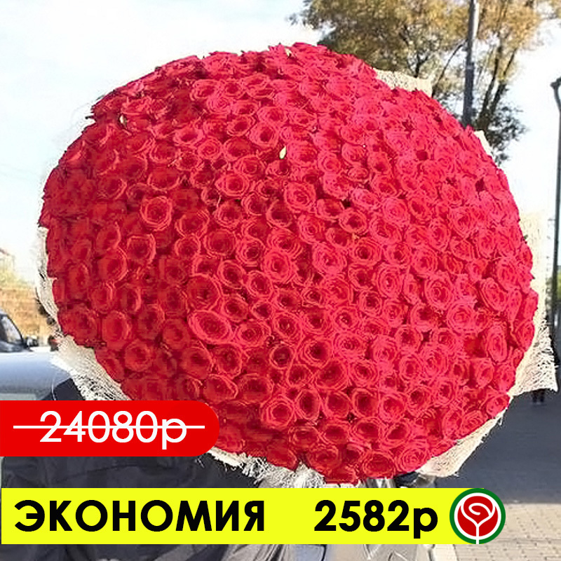 301 КРАСНАЯ РОЗА РЕД НАОМИ 60 СМ 301 КРАСНАЯ РОЗА РЕД НАОМИ 60 СМ