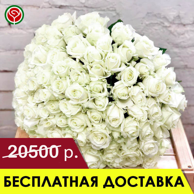 101 БЕЛАЯ РОЗА 50 СМ 101 БЕЛАЯ РОЗА 50 СМ