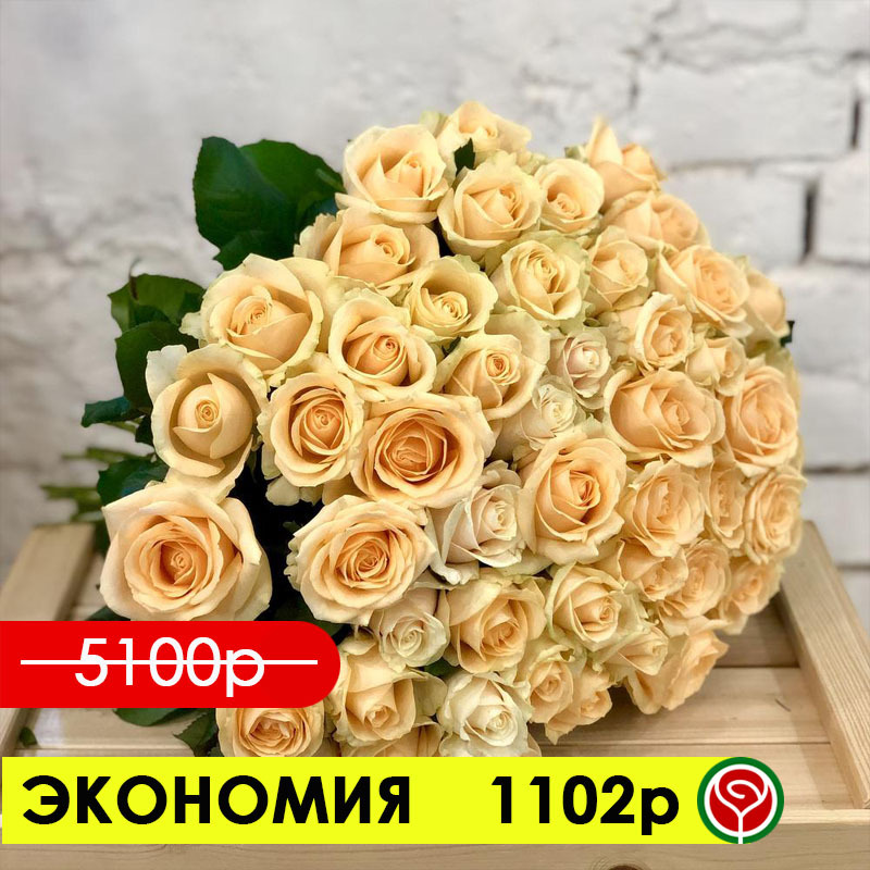 51 РОЗА ПИЧ 60 СМ 51 РОЗА ПИЧ 60 СМ