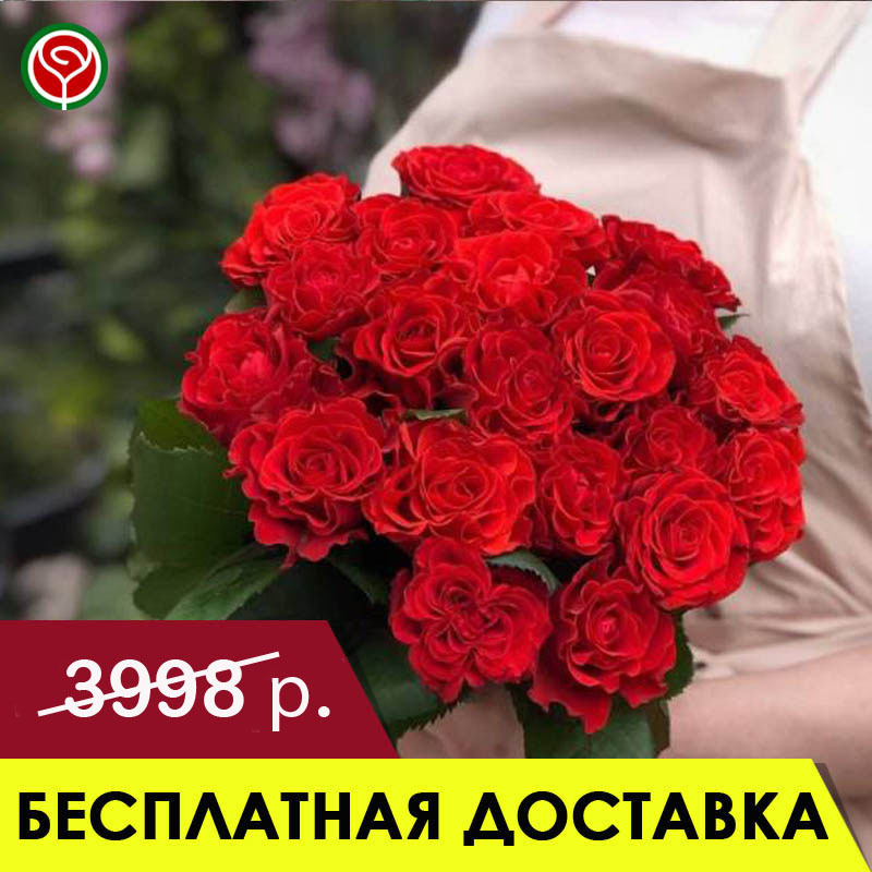 15 АЛЫХ РОЗ 60 СМ