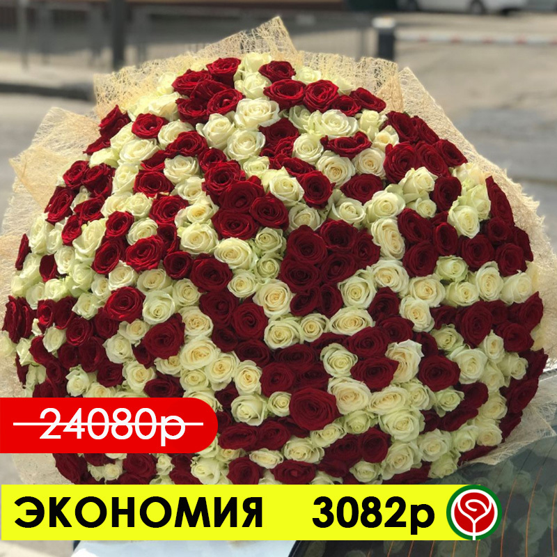 301 КРАСНАЯ И БЕЛАЯ РОЗЫ 60СМ 301 КРАСНАЯ И БЕЛАЯ РОЗЫ 60СМ