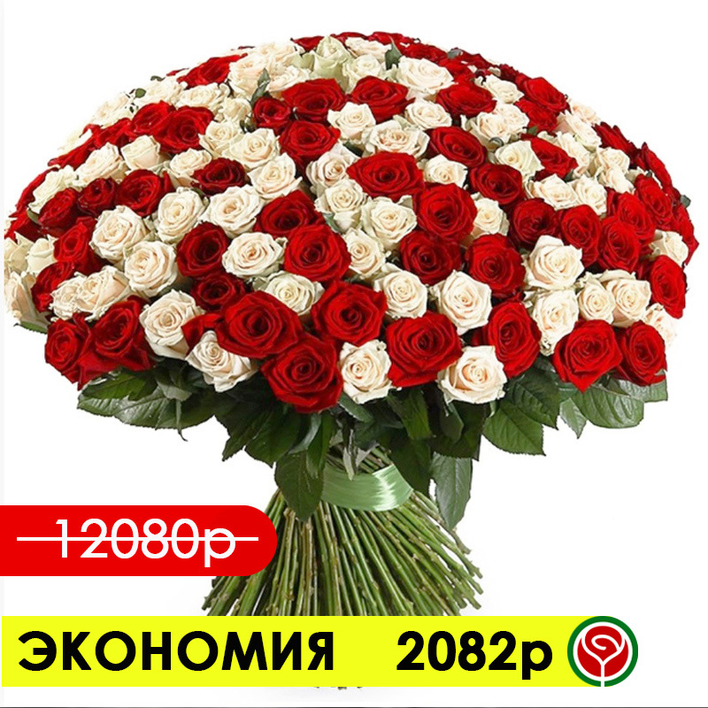 151 КРАСНАЯ И БЕЛАЯ РОЗЫ 60 СМ 151 КРАСНАЯ И БЕЛАЯ РОЗЫ 60 СМ