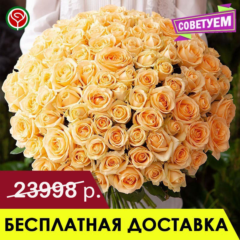 101 РОЗА ПИЧ АВАЛАНШ 50 СМ 101 РОЗА ПИЧ АВАЛАНШ 50 СМ