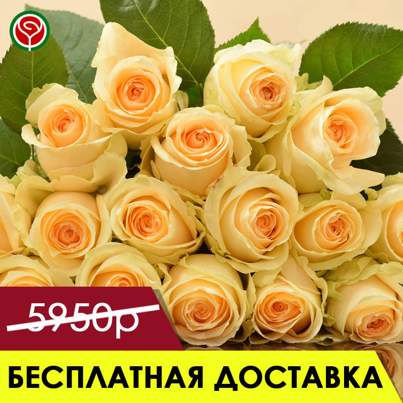 15 ПЕРСИКОВЫХ РОЗ 60 СМ 15 ПЕРСИКОВЫХ РОЗ 60 СМ
