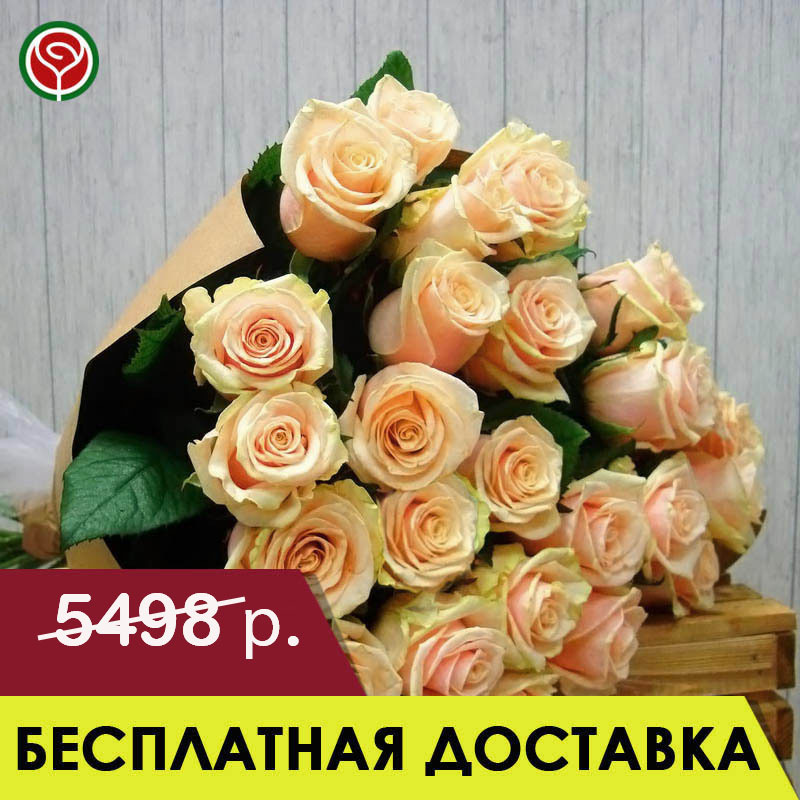 21 КРЕМОВАЯ РОЗА 60 СМ 21 КРЕМОВАЯ РОЗА 60 СМ
