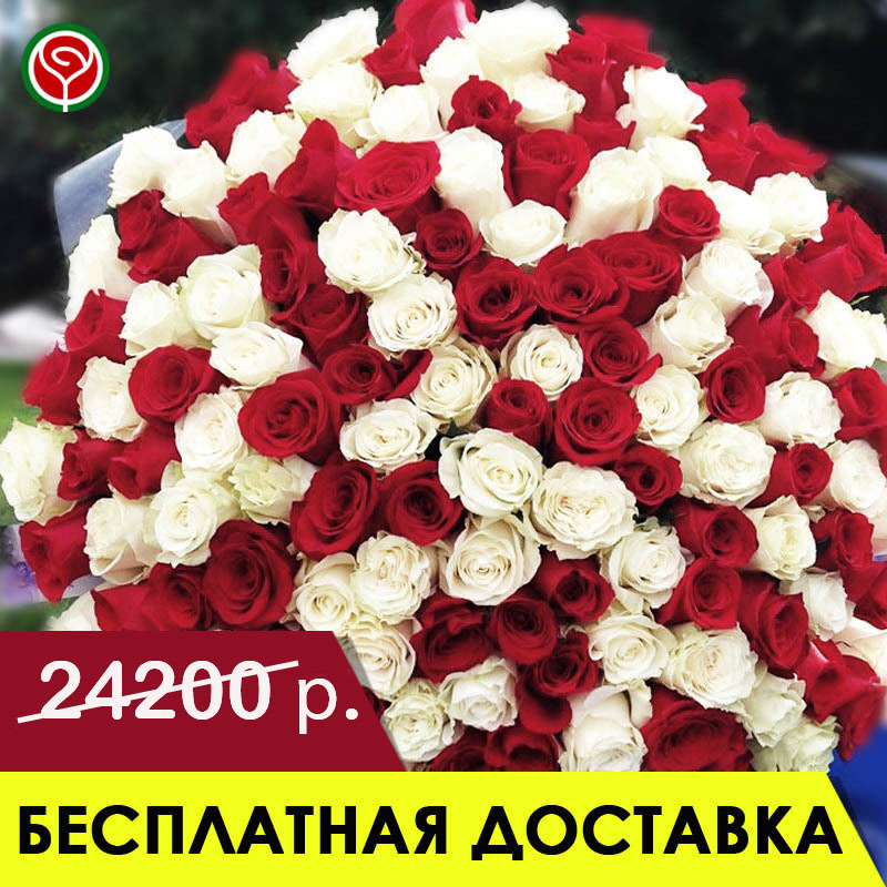 101 РЕД НАОМИ И АВАЛАНШ 60 СМ 101 РЕД НАОМИ И АВАЛАНШ 60 СМ
