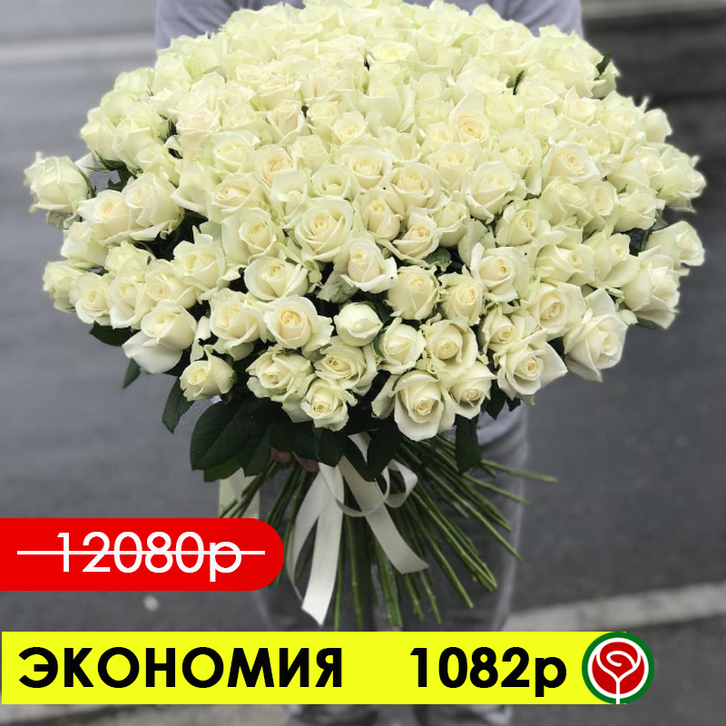 151 РОЗА АВАЛАНШ 60 СМ 151 РОЗА АВАЛАНШ 60 СМ
