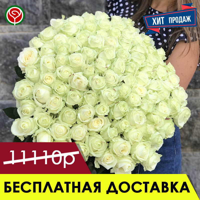 101 РОЗА АВАЛАНШ 70 СМ 101 РОЗА АВАЛАНШ 70 СМ