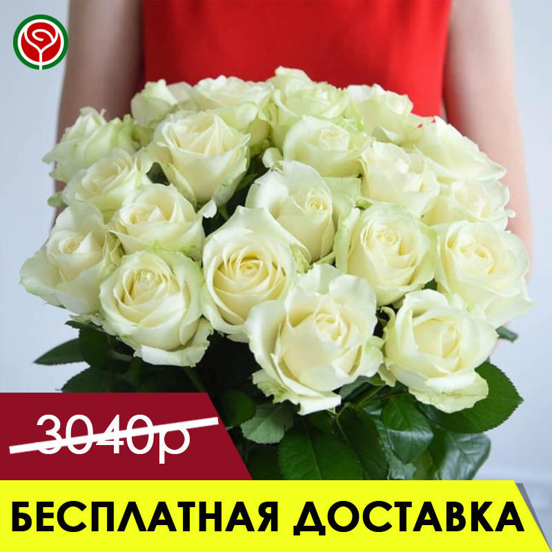15 БЕЛЫХ РОЗ 70 СМ 15 БЕЛЫХ РОЗ 70 СМ