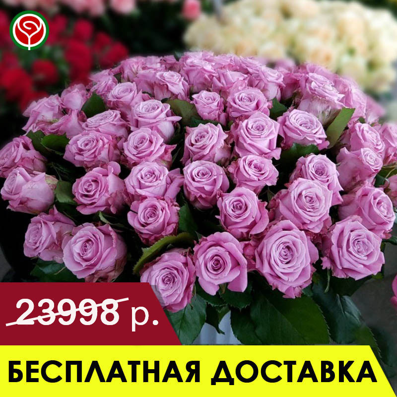 101 СИРЕНЕВАЯ РОЗА 60 СМ 101 СИРЕНЕВАЯ РОЗА 60 СМ