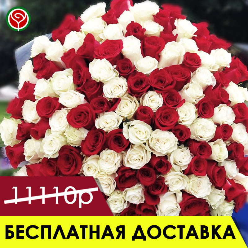 101 РЕД НАОМИ И АВАЛАНШ 70 СМ 101 РЕД НАОМИ И АВАЛАНШ 70 СМ