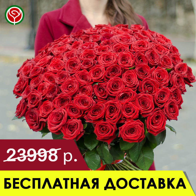 101 КРАСНАЯ РОЗА 70 СМ 101 КРАСНАЯ РОЗА 70 СМ