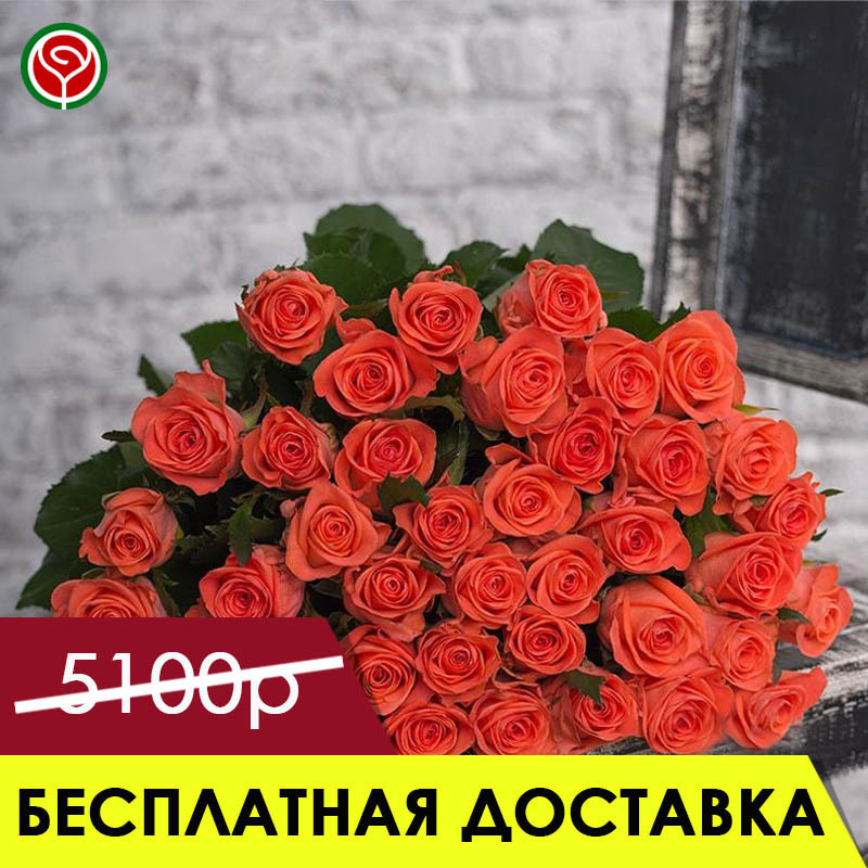 51 РОЗ ВАУ 80 СМ 51 РОЗ ВАУ 80 СМ